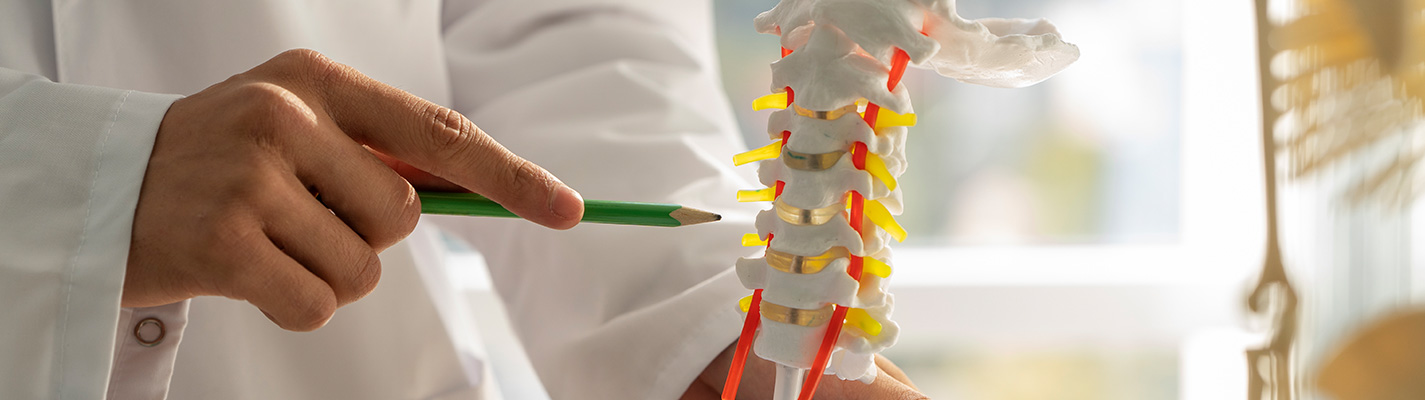 Our Expertise Banner image